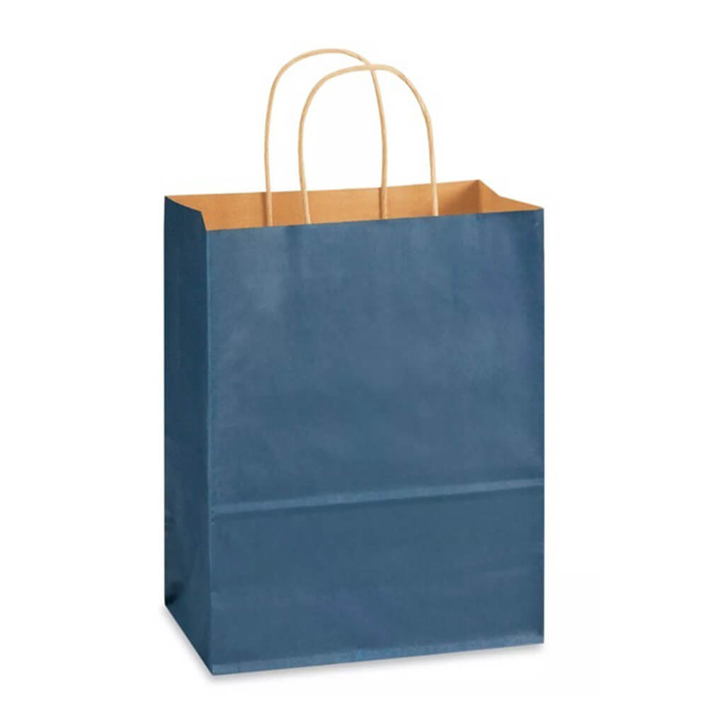 21 x 11 x 27 cm Blue Kraft Paper Bag With Twisted Handles image 0