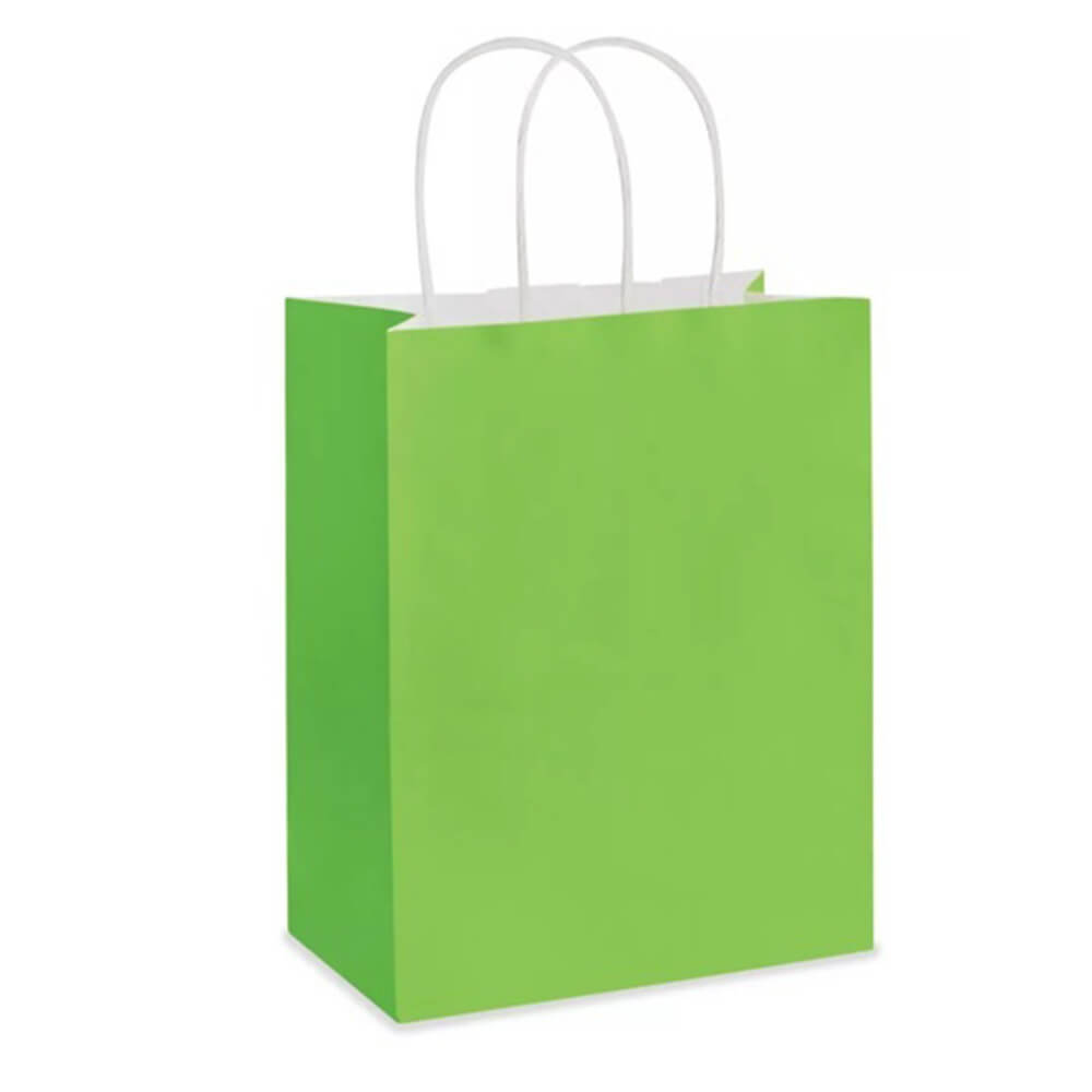 21 x 11 x 27 cm Deluxe Green Paper Bag With Twisted Handles image 0