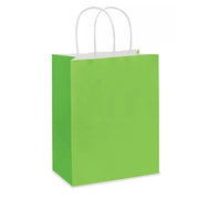 21 x 11 x 27 cm Deluxe Green Paper Bag With Twisted Handles image 0