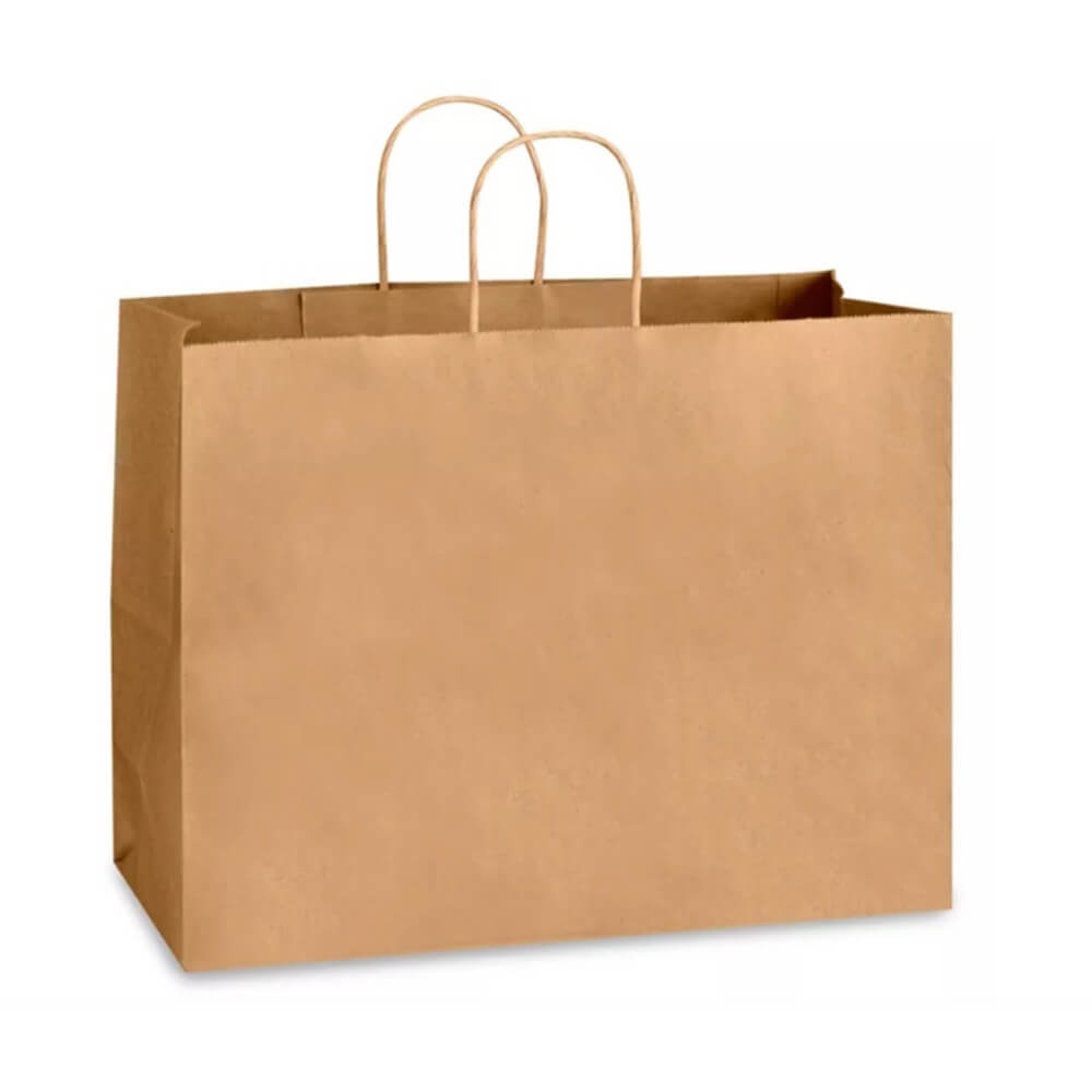 41 x 15 x 31 cm Brown Paper Shopping Bags With Twisted Handles - Chichi - 100 Pack image 0